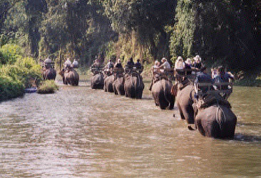 Elephantcamp2-ChiangMai