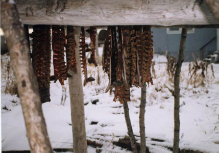 Dry-Fish
