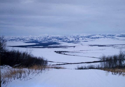 Tundra