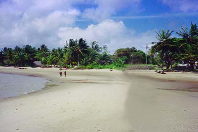 beach