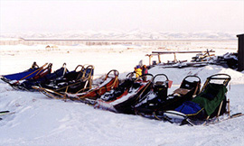 dog-sleds