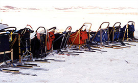 dog-sleds2