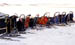 dog-sleds2
