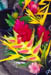 flowers3