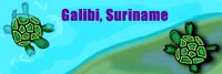 galibiturtles